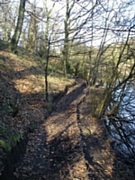 Lords Wood